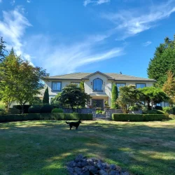 A two-story house with a well-manicured lawn and trees, with a black dog standing in the front yard under a blue sky.