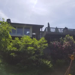 A house with large windows and a wooden deck is partially obscured by trees and shrubs under a bright sky.