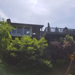 A house with large windows and a wooden deck is partially obscured by trees and shrubs under a bright sky.